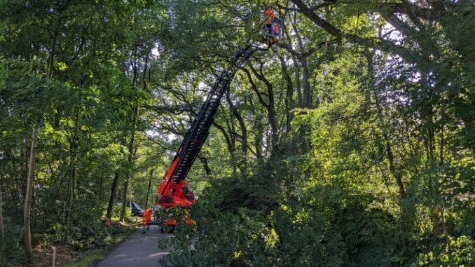 FW-MH: Herabgestürzter Ast blockiert Straße