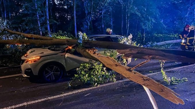 FW-MK: Baum stürzt auf vorbeifahrenden PKW