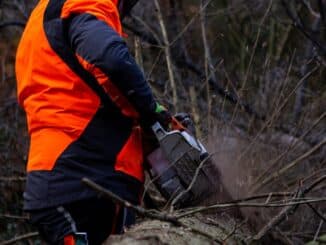 FW-MK: Einsatzkräfte für Unwetterlagen mit Holzschäden ausgebildet.