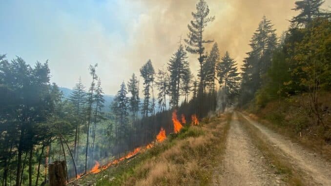 FW-MK: Waldbrand am Hegenscheid