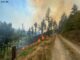 FW-MK: Waldbrand am Hegenscheid