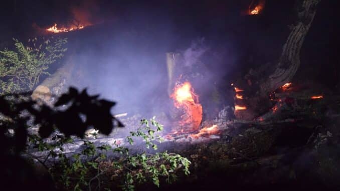 FW-MK: Waldbrand in Lössel