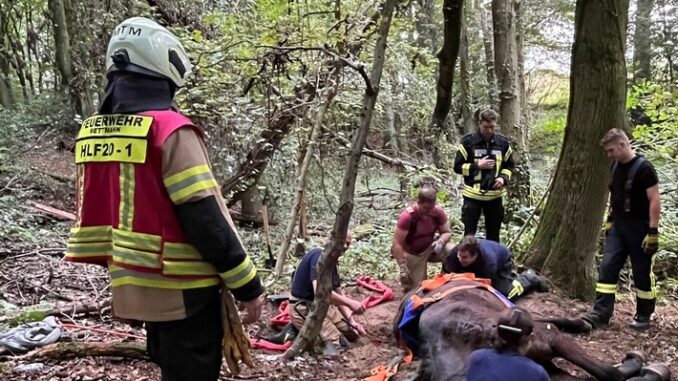 FW Mettmann: Feuerwehr Mettmann muss aufwendig Großtier aus misslicher Lage befreien.