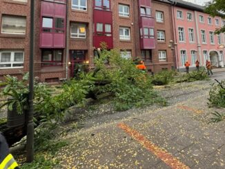 FW-NE: Baum stürzt auf Oberleitung der Straßenbahn | Oberstraße mehrere Stunden gesperrt | Keine Verletzten