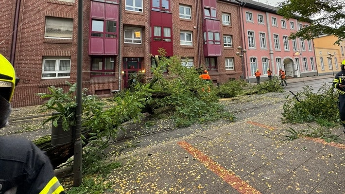 FW-NE: Baum stürzt auf Oberleitung der Straßenbahn | Oberstraße mehrere Stunden gesperrt | Keine Verletzten