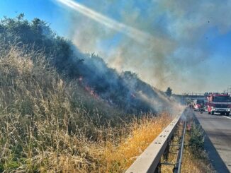 FW-NE: Böschungsbrand an A57 | Hohe Wald- und Wiesenbrandgefahr | Appell der Feuerwehr