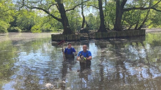 FW-OB: Gänserettung im Volkspark