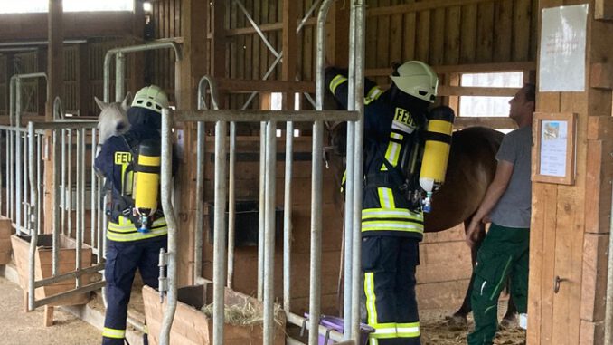 FW-OE: Feuerwehr-Gruppenüben mal tierisch anders