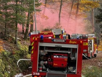 FW-OG: Schmale Forstwege - bergiges Waldgelände. Der Feuerwehr-Stresstest im Zell-Weierbacher Wald.