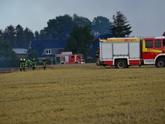 FW-PI: Feuerwehr verhindert Ausbreitung von Flächenbrand