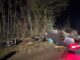 FW-PI: Schwerer Verkehrsunfall auf der BAB23 bei Tornesch - Autofahrer lebensbedrohlich verletzt