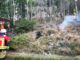 FW-PL: Entstehungsbrand im Waldgebiet Silberg