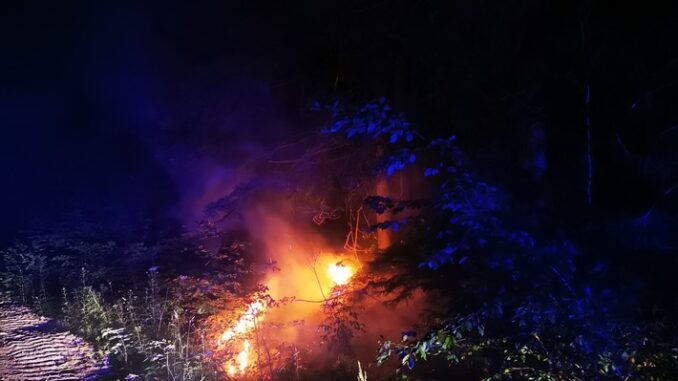 FW-PL: Erneut kleinerer Waldbrand in der Vier-Täler-Stadt