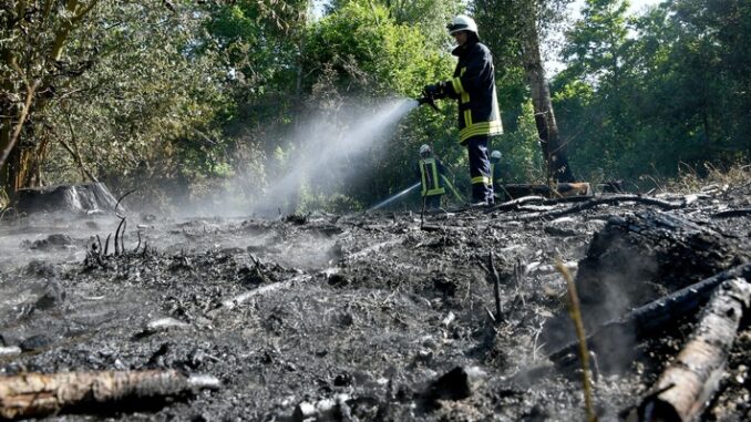 FW-RD: 400 Einsatzkräfte bekämpfen Waldbrand bei Mielkendorf