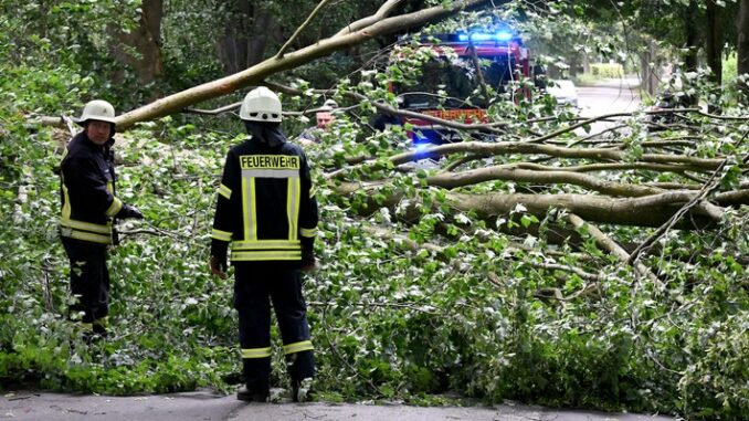 FW-RD: Orkantief &quot;Poly&quot; beschert Feuerwehren zahlreiche Einsätze