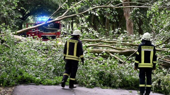 FW-RD: Orkantief &quot;Poly&quot; sorgt für zahlreiche Einsätze - Sonderlage aufgehoben