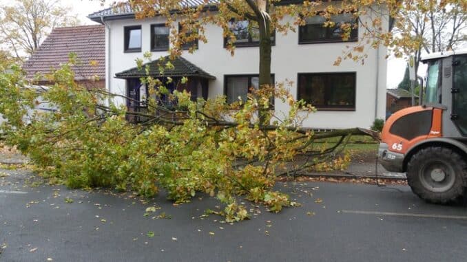 FW-ROW: Ast droht auf Straße zu fallen