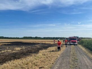 FW-ROW: Feuerwehren verhindern größeren Flächenbrand