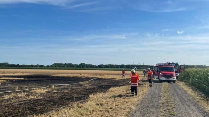 FW-ROW: Feuerwehren verhindern größeren Flächenbrand