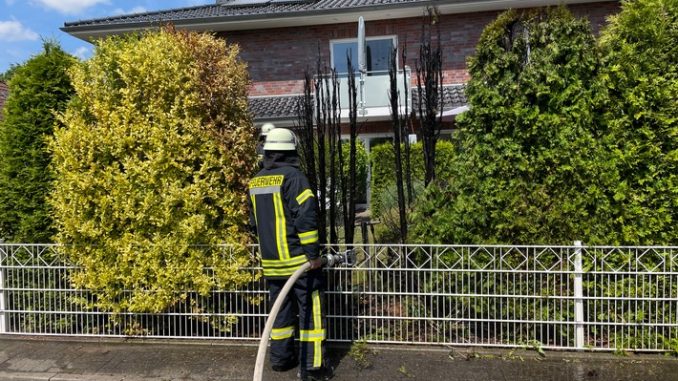 FW-ROW: Hecke gerät in Brand