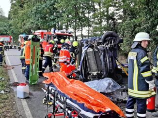 FW-ROW: Kleinbus gegen Baum