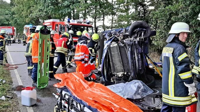 FW-ROW: Kleinbus gegen Baum