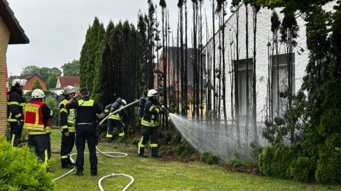 FW-ROW: Koniferen bei Gasbrennerarbeiten abgebrannt
