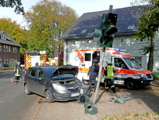 FW-ROW: PKW gegen Ampel