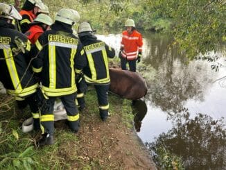 FW-ROW: Pferd aus misslicher Lage befreit