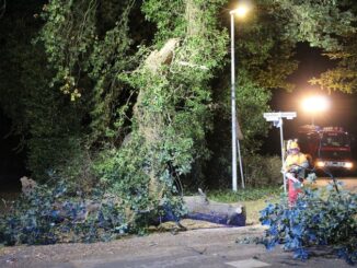 FW-ROW: Riesiger Ast versperrt in der Nacht Kreuzung in Oldenhöfen - Feuerwehren rücken aus