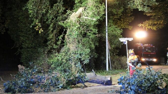 FW-ROW: Riesiger Ast versperrt in der Nacht Kreuzung in Oldenhöfen - Feuerwehren rücken aus