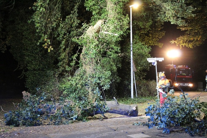 FW-ROW: Riesiger Ast versperrt in der Nacht Kreuzung in Oldenhöfen - Feuerwehren rücken aus