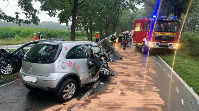 FW-ROW-Schwerer-Verkehrsunfall-auf-der-Landesstrasse-130-Feuerwehr.jpeg FW-ROW: Schwerer Verkehrsunfall auf der Landesstraße 130 - Feuerwehr im Einsatz