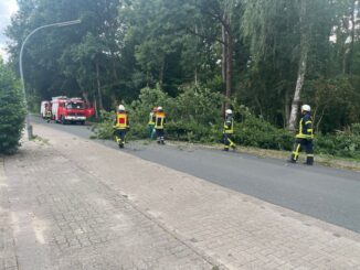 FW-ROW: Umgestürzter Baum vor dem Naturbad Zeven