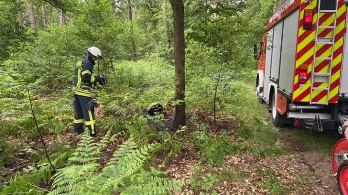 FW-ROW: ++ Unklarer Brandgeruch nach Stromausfall ++ Feuer im &quot;Großen Holz&quot; in Zeven