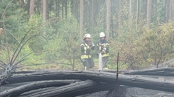 FW-ROW: Waldbrand endet Dank frühzeitiger Entdeckung glimpflich