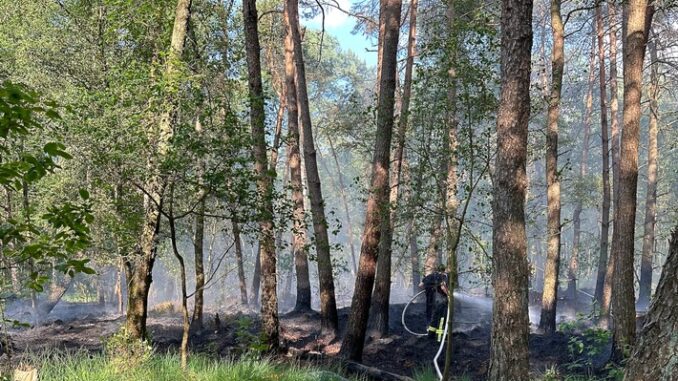 FW-ROW: ++ Waldbrand in Tiste - 1800 Quadratmeter Waldfläche in Brand ++ Schwerer Verkehrsunfall auf der L 130