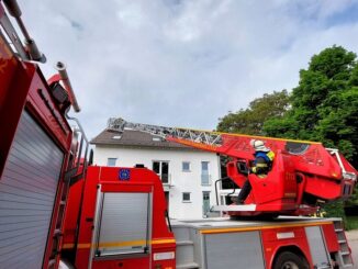 FW-Radolfzell: Heimrauchmelder ausgelöst