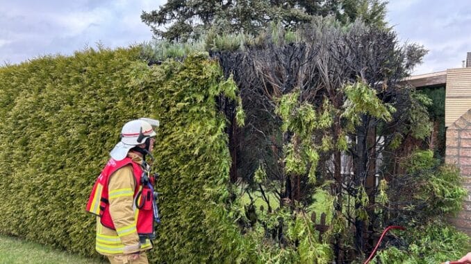 FW Ratingen: Heckenbrand in Lintorf