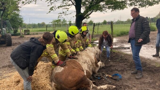 FW Ratingen: Pferd versinkt in matschigem Erdreich - nicht alltäglicher Einsatz für die Feuerwehr Ratingen