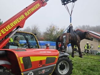 FW Ratingen: Überörtlicher Einsatz nach Erkrath zu einem Großtier in Not