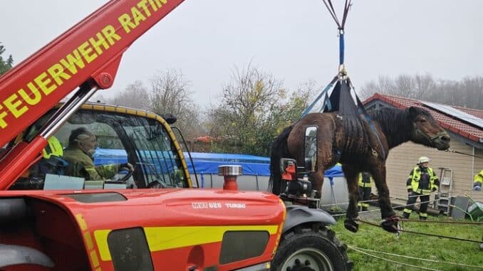 FW Ratingen: Überörtlicher Einsatz nach Erkrath zu einem Großtier in Not