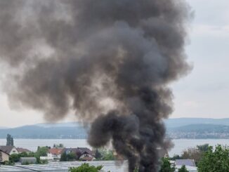 FW Reichenau: Holzhütte in Brand geraten, Reichenau-Mittelzell, 23.05.2023