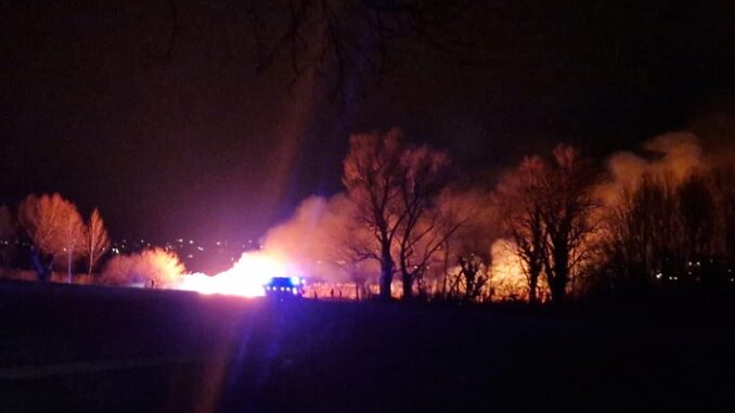 FW Reichenau: Schilfbrand an zwei Stellen gelöscht, Reichenau-Mittelzell/Niederzell, 07.03.2023