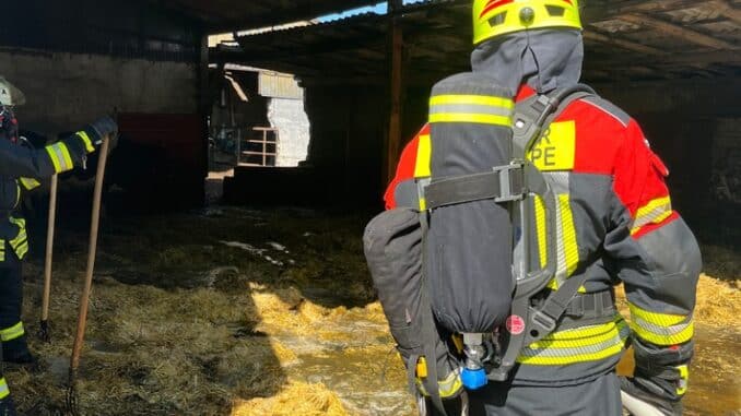FW-SE: Feuer auf einem landwirtschaftlichen Betrieb