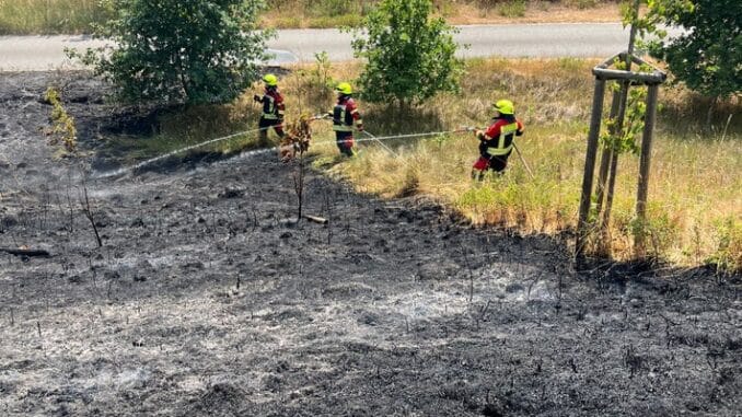 FW-SE: Flächenbrand an der Autobahn bei Großenaspe