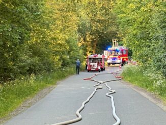 FW-SE: Holzschuppen im Vollbrand