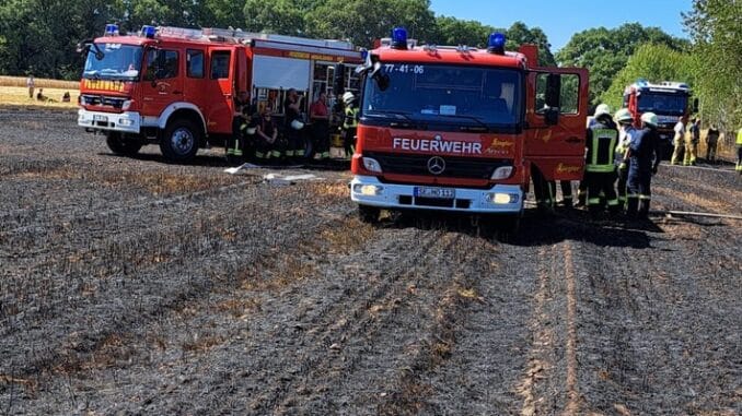 FW-SE: Mehrere Vegetationsbrände im Kreis Segeberg