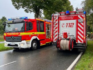 FW-SE: Tödlicher Verkehrsunfall in Hardebek