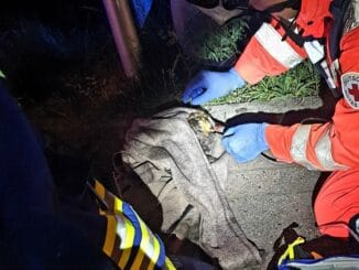 FW Schalksmühle: Drei tote Katzen und ein toter Hund nach Brand an Volmestraße